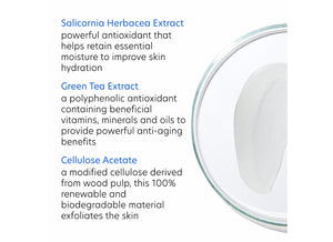 Daily Exfoliant