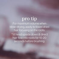 Style + Protect On The Rise Root Lifting Mousse